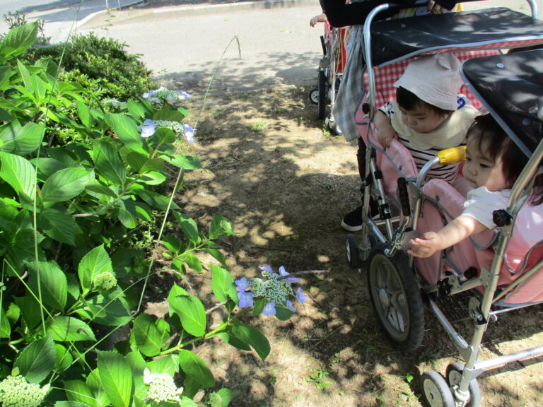 公園デビューしました