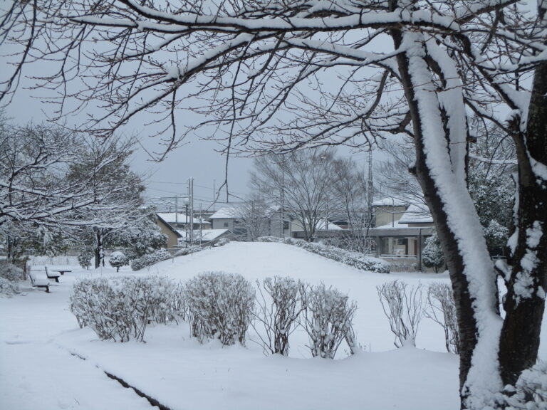 雪だ！そりだ！雪だるまだ！