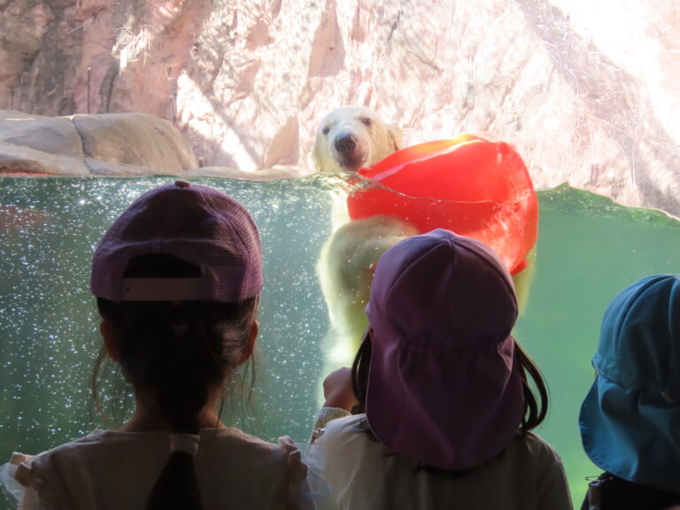 八木山動物公園に行こう!