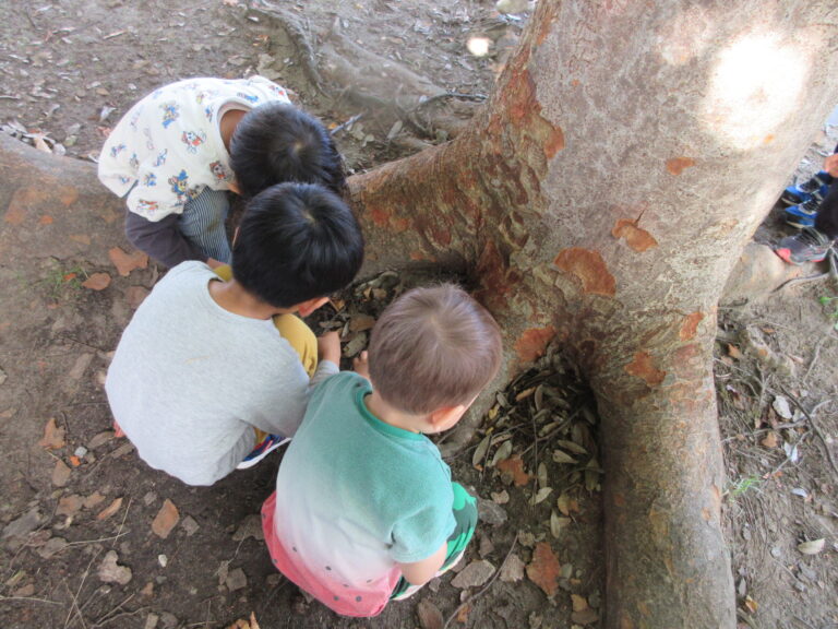 見て、真似して、やってみる!