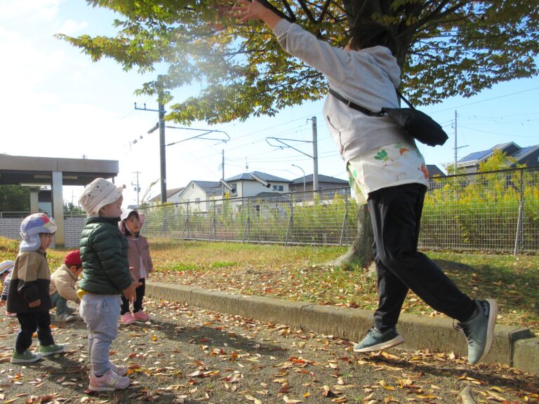 落ち葉がいっぱい！